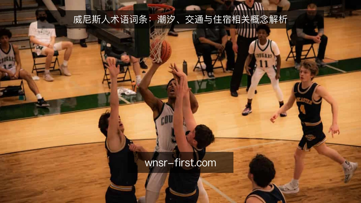 威尼斯人术语词条:潮汐、交通与住宿相关概念解析