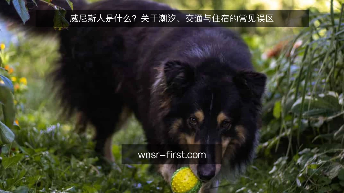 威尼斯人是什么?关于潮汐、交通与住宿的常见误区